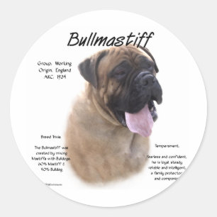 Bullmastiff (fawn) History Design Classic Round Sticker