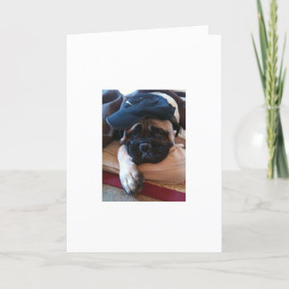 Bullmastiff je suis carte ou invitation désolée