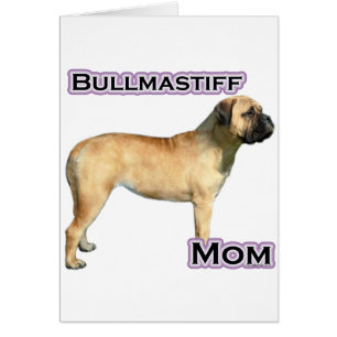 Bullmastiff Mom 4