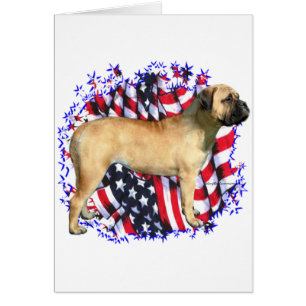 Bullmastiff Patriot