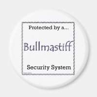 Bullmastiff Security System - Magnet