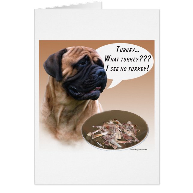 Bullmastiff Turquie (Devant)