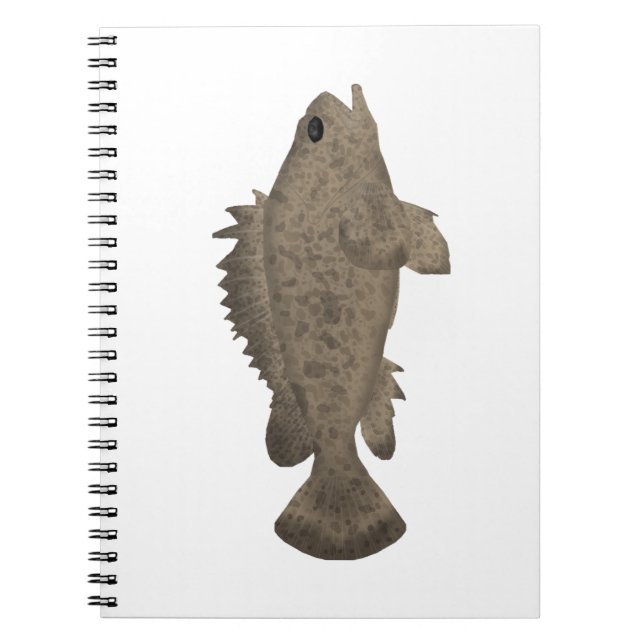 Bullrout Notebook (Front)