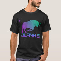 bullrun solana coin SOL Crypto Coin HODL