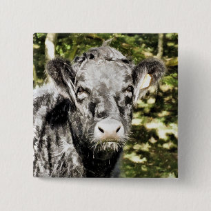 BULLS 2 INCH SQUARE BUTTON
