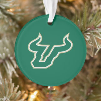 Bulls USF