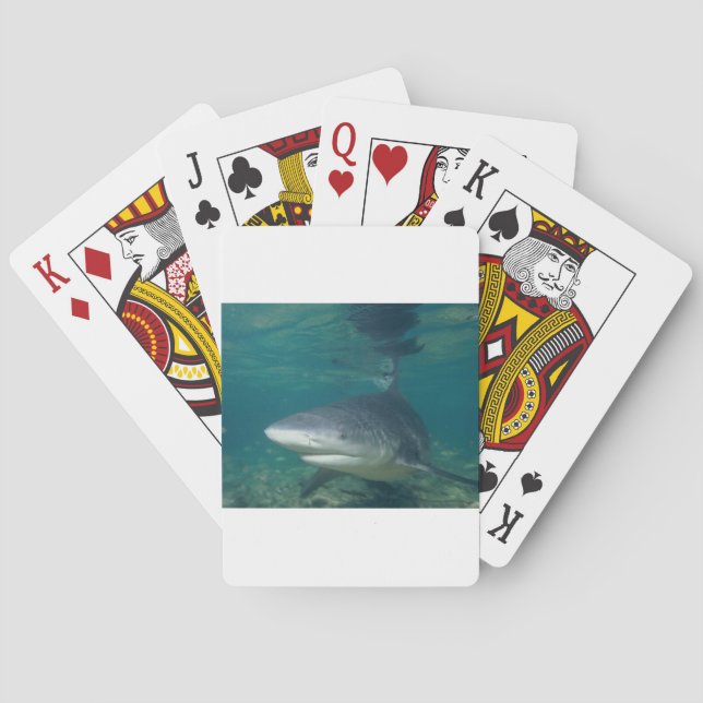 Bullshark Playing Cards (Back)