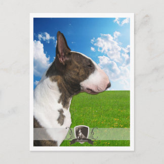 Bullterrier PostCard 2011