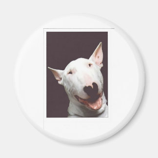 bully smile magnet