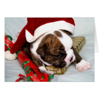 BullyBreeze - Spot The Dot - Gift Time - Card