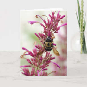 Bumble and Magenta Card