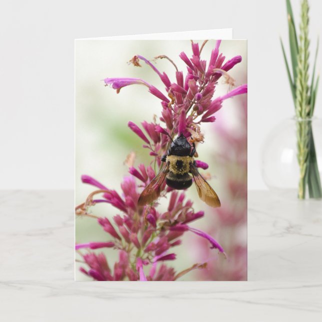 Bumble and Magenta Card (Front)