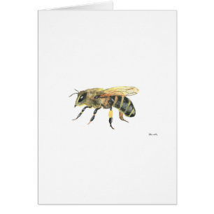 Bumble bebe