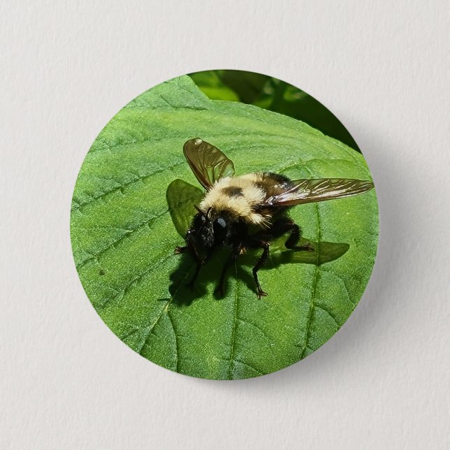 Bumble Bee 2 Inch Round Button (Front)