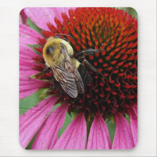 Bumble Bee 2 Mouse Pad