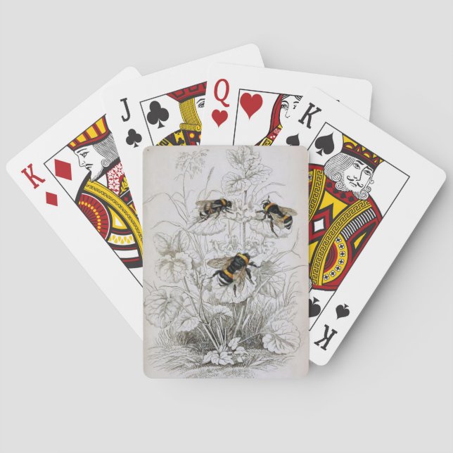 Bumble Bee Botanical  Playing Cards (Back)