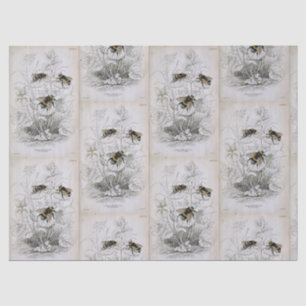 Bumble Bee Botanical Tissue Paper