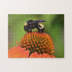 Bumble Bee Close Up on Orange Flower Puzzle