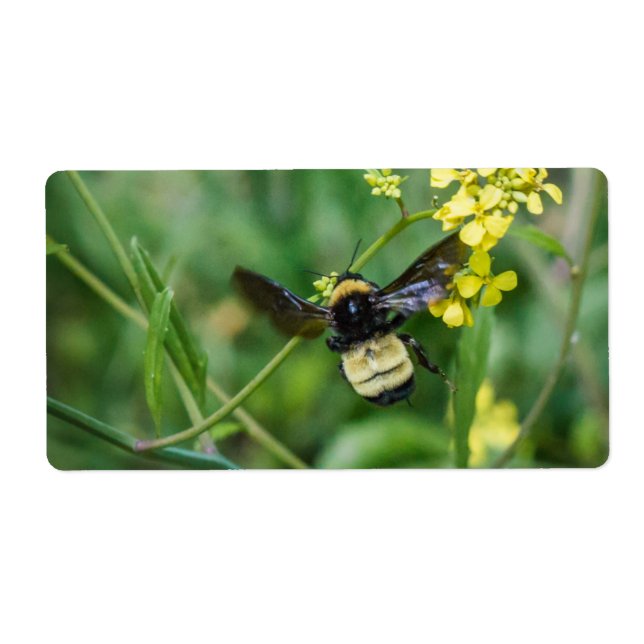 Bumble Bee en vol (Devant)