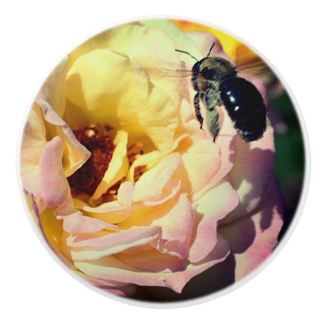 Bumble Bee Flying Into Pink Rose Close Up  Ceramic Knob (Front)