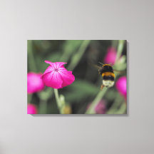 Bumble Bee Flying Toward Flower Botanical Photo