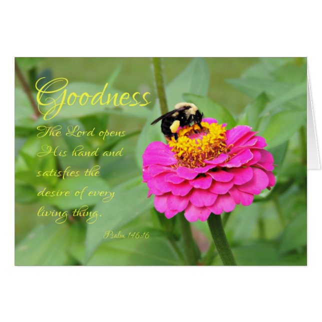 Bumble Bee in rose Zinnia Penser à votre carte (Devant Horizontal)