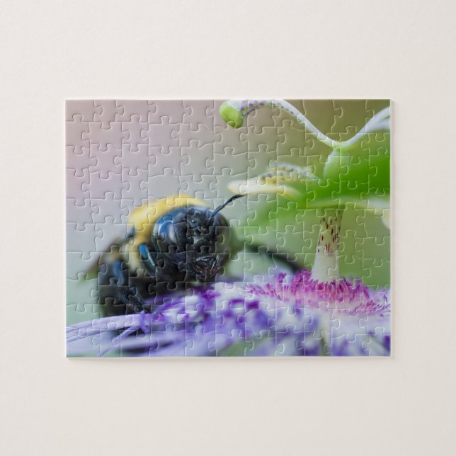 Bumble Bee macro photograph Jigsaw Puzzle (Horizontal)