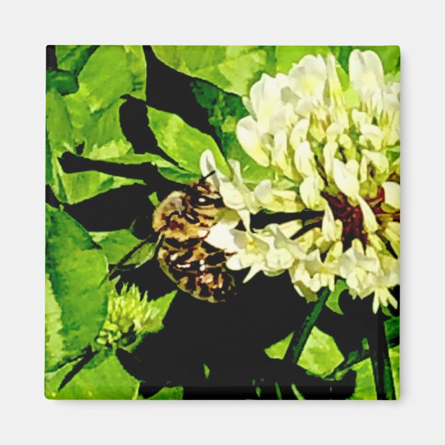 Bumble Bee Magnet (Devant)