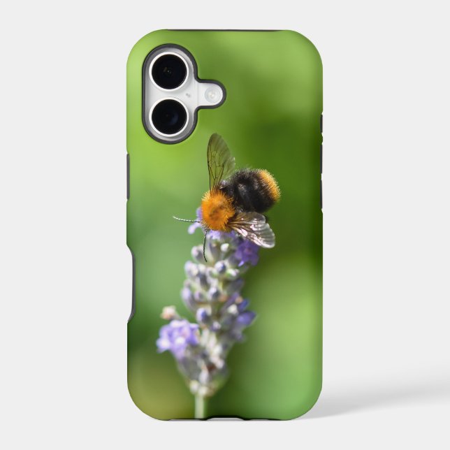 Bumble Bee On A Lavender  (Back)