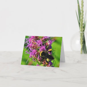 Bumble Bee on Blazing Star  Note Card
