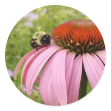 Bumble Bee on Flower Sticker