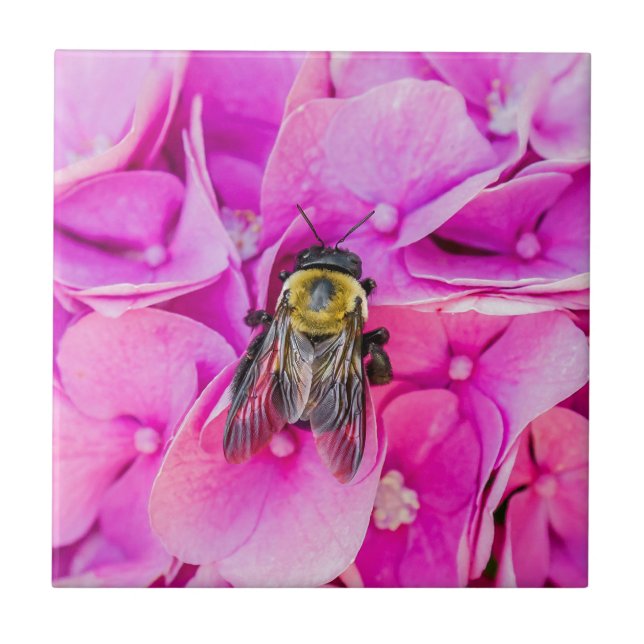 Bumble Bee On Hydrangea Tile (Front)