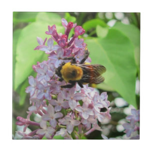 Bumble Bee on Lilac Tile