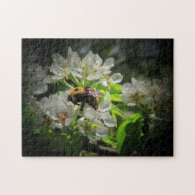 Bumble Bee on Pear Tree Flower Jigsaw Puzzle (Horizontal)