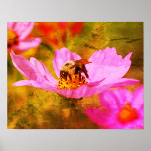 Bumble Bee On Pink Cosmos Flower Abstract Poster