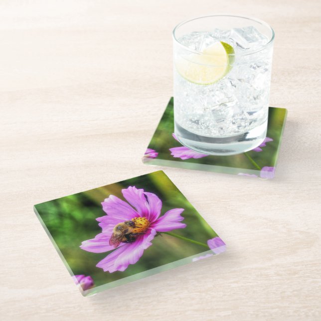 Bumble Bee on Pink Cosmos Glass Coaster (Angled)