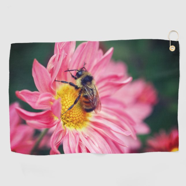 Bumble Bee On Pink Daisy Flower 2   Golf Towel (Horizontal)