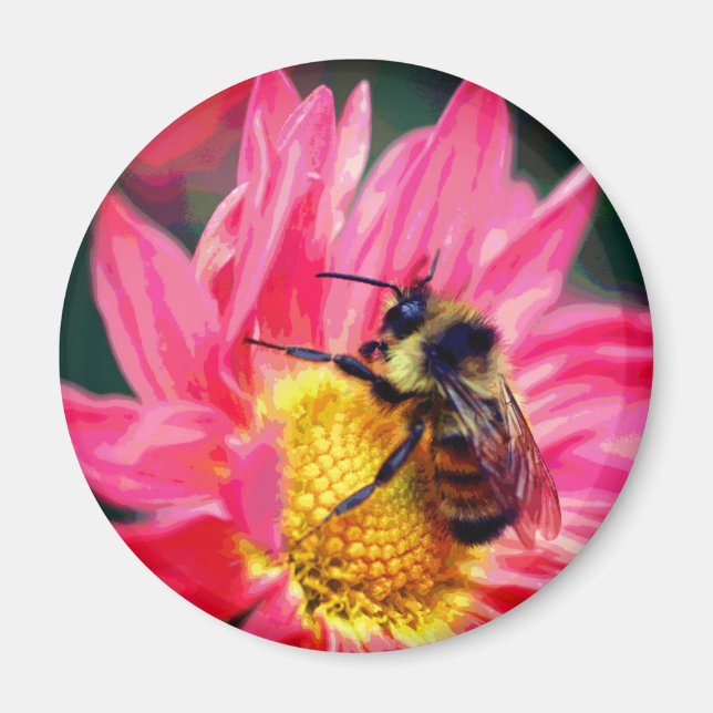 Bumble Bee On Pink Daisy Flower Art  Magnet (Front)
