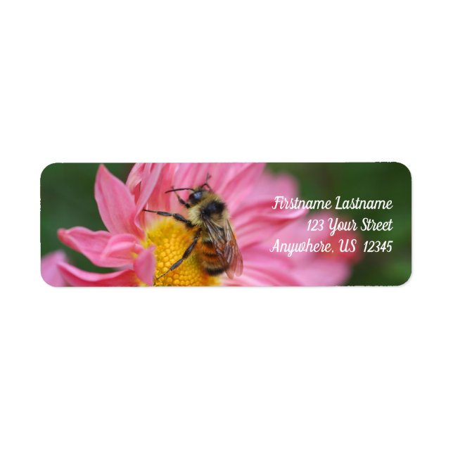 Bumble Bee On Pink Daisy Flower Nature Adresse (Devant)