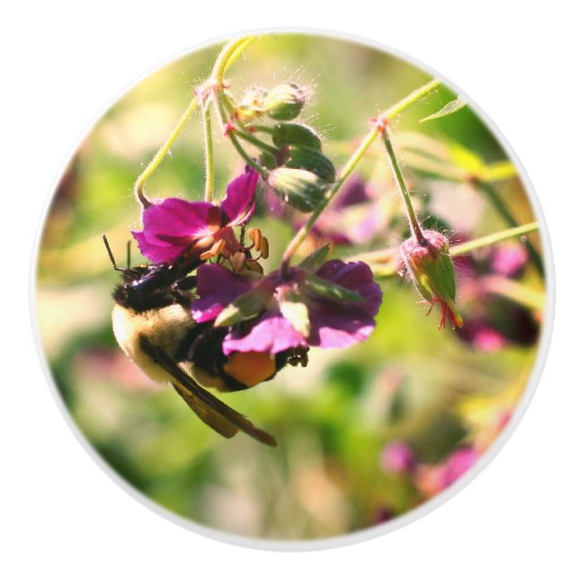 Bumble Bee On Pink Flower  Ceramic Knob (Front)
