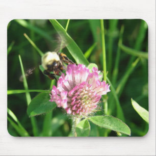 Bumble Bee on Red Clover Mouse Pad
