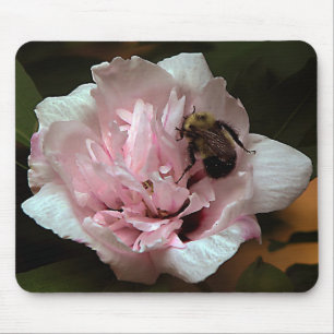 Bumble Bee on Rose of Sharron Flower Mouse Pad