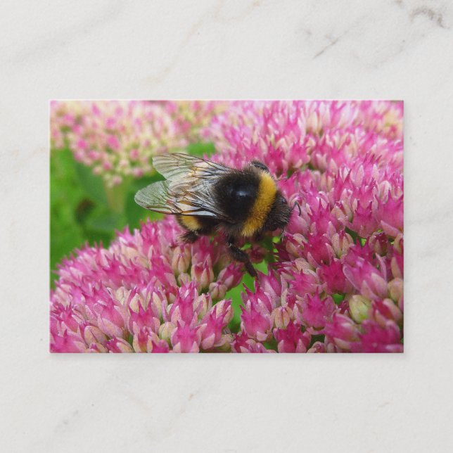 Bumble Bee on Sedum Business Card (Front)