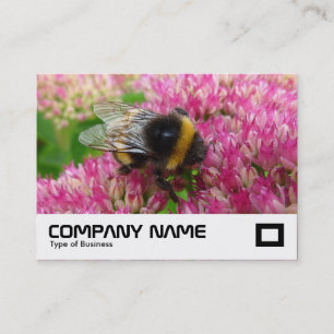 Bumble Bee on Sedum Business Card