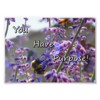 Bumble Bee Photo - Vous Avez Un But