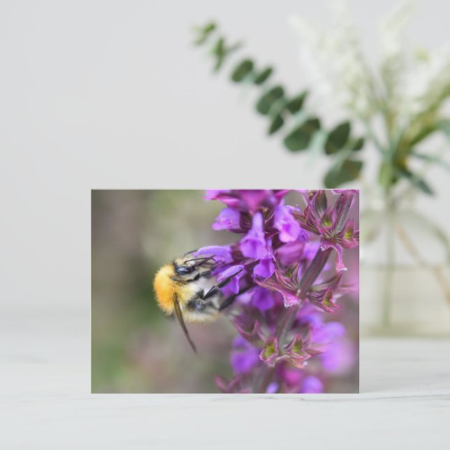 Bumble Bee  Postcard (Standing Front)