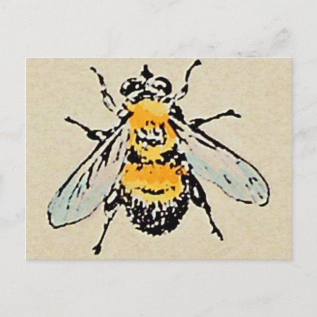 Bumble Bee postcard (Front)