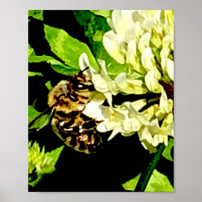 Bumble Bee Poster (Front)