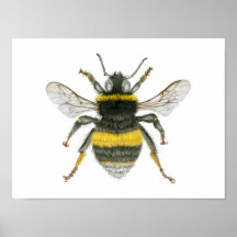 Bumble Bee Poster Imprimer