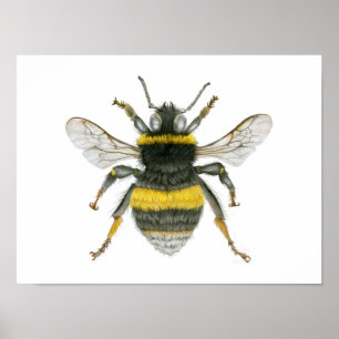 Bumble Bee Poster Imprimer